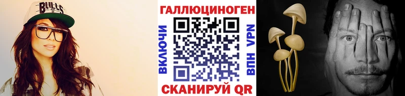 Псилоцибиновые грибы Psilocybe  Купить закладки  Бодайбо 
